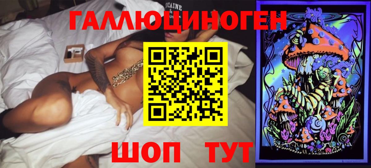 Галлюциногенные грибы Psilocybine cubensis  Вход с VPN  Прохладный 