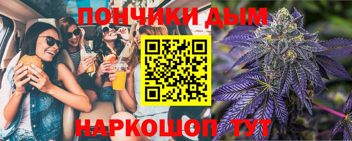 Бошки марихуана ГИДРОПОН Прохладный